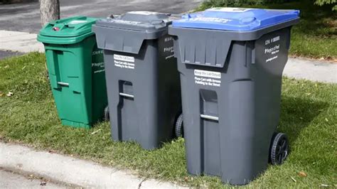 city of brampton garbage|Refuse and Dumping .
